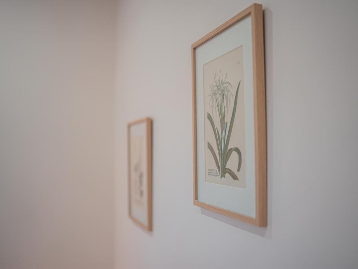 L'Annexe Clermont Ferrand Apartment Ngoại thất bức ảnh